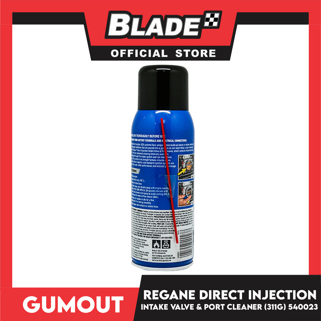 Gumout Regane Direct Injection Intake Valve & Port Cleaner Performance blade.ph