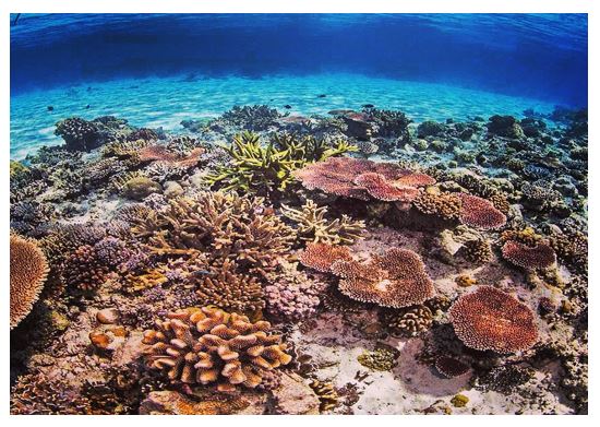 PLACES TO VISIT IN THE WESTERN PART OF THE PHILIPPINES AFTER COVID 19 QUARANTINE