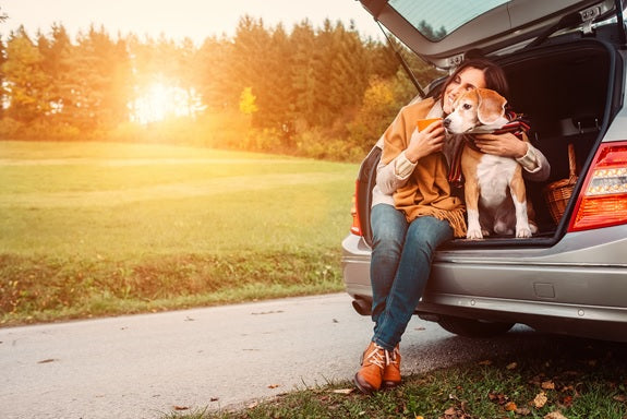 How to safely transport your dog in a vehicle