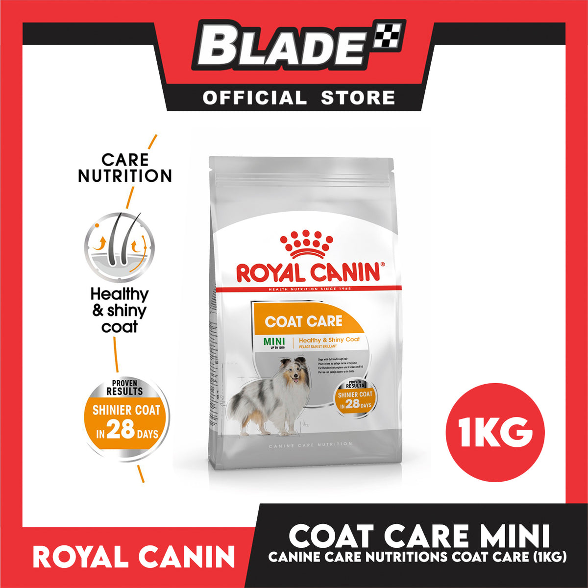 Royal Canin Coat Care (1kg) Adult Dry Dog Food - Canine Care Nutrition