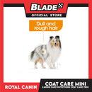 Royal Canin Coat Care (1kg) Adult Dry Dog Food - Canine Care Nutrition