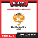 Royal Canin Coat Care (1kg) Adult Dry Dog Food - Canine Care Nutrition