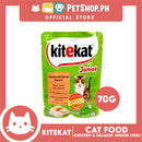 6pcs Kitekat Wet Cat Food in Pouch Junior 70g (Chicken and Salmon)