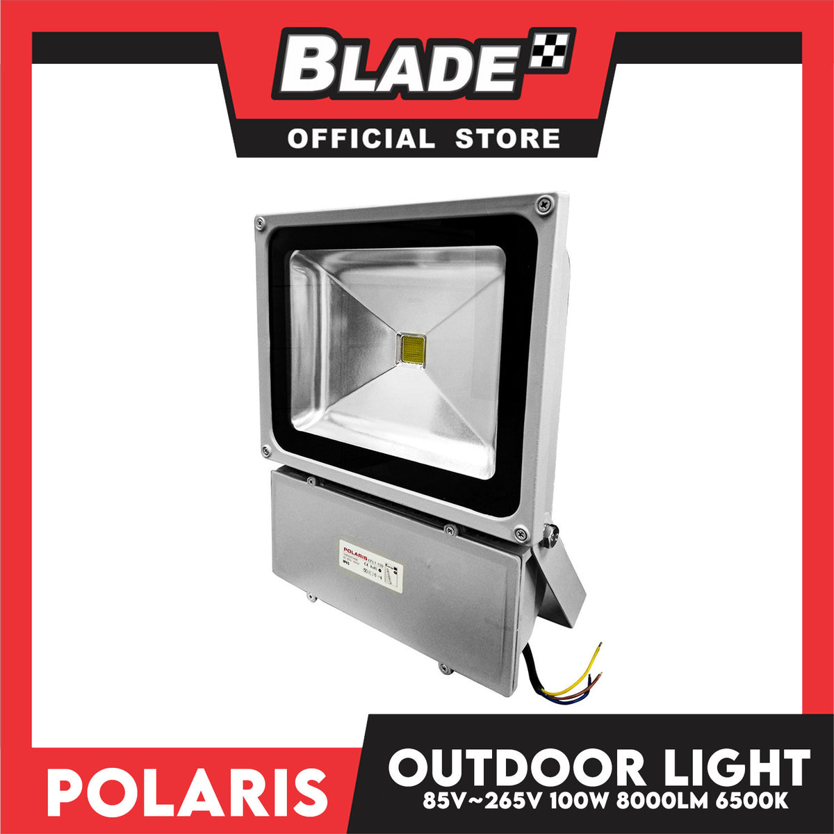 Polaris LED Flood Light 100W 800lm 6500k Outdoor Light