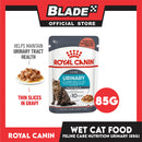 Royal Canin Urinary Care Chunks in  Gravy (85g) Adult Wet Cat Food - Feline Care Nutrition