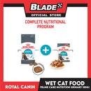 Royal Canin Urinary Care Chunks in  Gravy (85g) Adult Wet Cat Food - Feline Care Nutrition