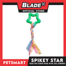 Pet Toy Dog Chew Star with Tail (Green)