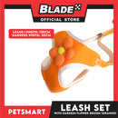 Pet Harness with Leash (Orange) Flower Design