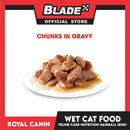 Royal Canin Hairball Care Chunks in Gravy (85g) Adult Wet Cat Food - Feline Care Nutrition