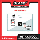 Royal Canin Hairball Care Chunks in Gravy (85g) Adult Wet Cat Food - Feline Care Nutrition