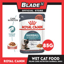 Royal Canin Hairball Care Chunks in Gravy (85g) Adult Wet Cat Food - Feline Care Nutrition