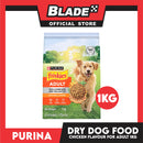 Purina Friskies Adult Dog Dry Food with Real Chicken 1kg