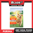 Purina Friskies Adult Dog Dry Food with Real Chicken 1kg