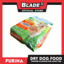 Purina Friskies Adult Dog Dry Food with Real Chicken 1kg