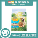 Purina Friskies Puppy Dog Dry Food with Real Chicken 1kg
