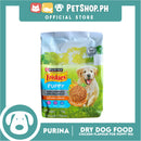 Purina Friskies Puppy Dog Dry Food with Real Chicken 1kg
