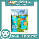 Purina Friskies Puppy Dog Dry Food with Real Chicken 1kg