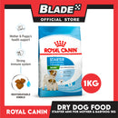 Royal Canin Mini Starter Mother and Babydog (1kg) Dry Dog Food - Size Health Nutrition
