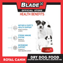 Royal Canin Mini Starter Mother and Babydog (1kg) Dry Dog Food - Size Health Nutrition