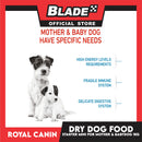 Royal Canin Mini Starter Mother and Babydog (1kg) Dry Dog Food - Size Health Nutrition