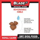 Royal Canin Mini Starter Mother and Babydog (1kg) Dry Dog Food - Size Health Nutrition