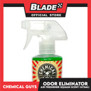 Chemical Guys JDM Premium Air Freshener and Odor Eliminator (Squash Scent)  473ml