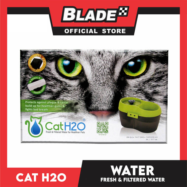 Cat H2o 2 Liters Water Fountain BPA Free with Filter and Dental Care