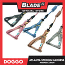 Doggo Atlanta Strong Harness and Leash Set Medium Size (Blue)