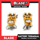 Blade Battery Terminal TMR M19 Gold (Set of 2)
