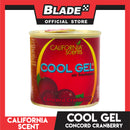 California Scent Cool Gel Air Freshener (Concord Cranberry)
