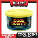 California Scents Cool Scent CLS-205 32g (Ocean Ice)