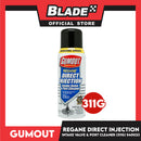 Gumout Regane Direct Injection Intake Valve & Port Cleaner Performance Additives 311g 11onz  540023 Quickly Restores Lost Performance