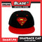 Gift Snapback Cap With Character Design (Assorted Designs and Colors)