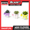 Gifts Artificial Flower Plant with Bike, Happy Life 009 (Assorted Colors)