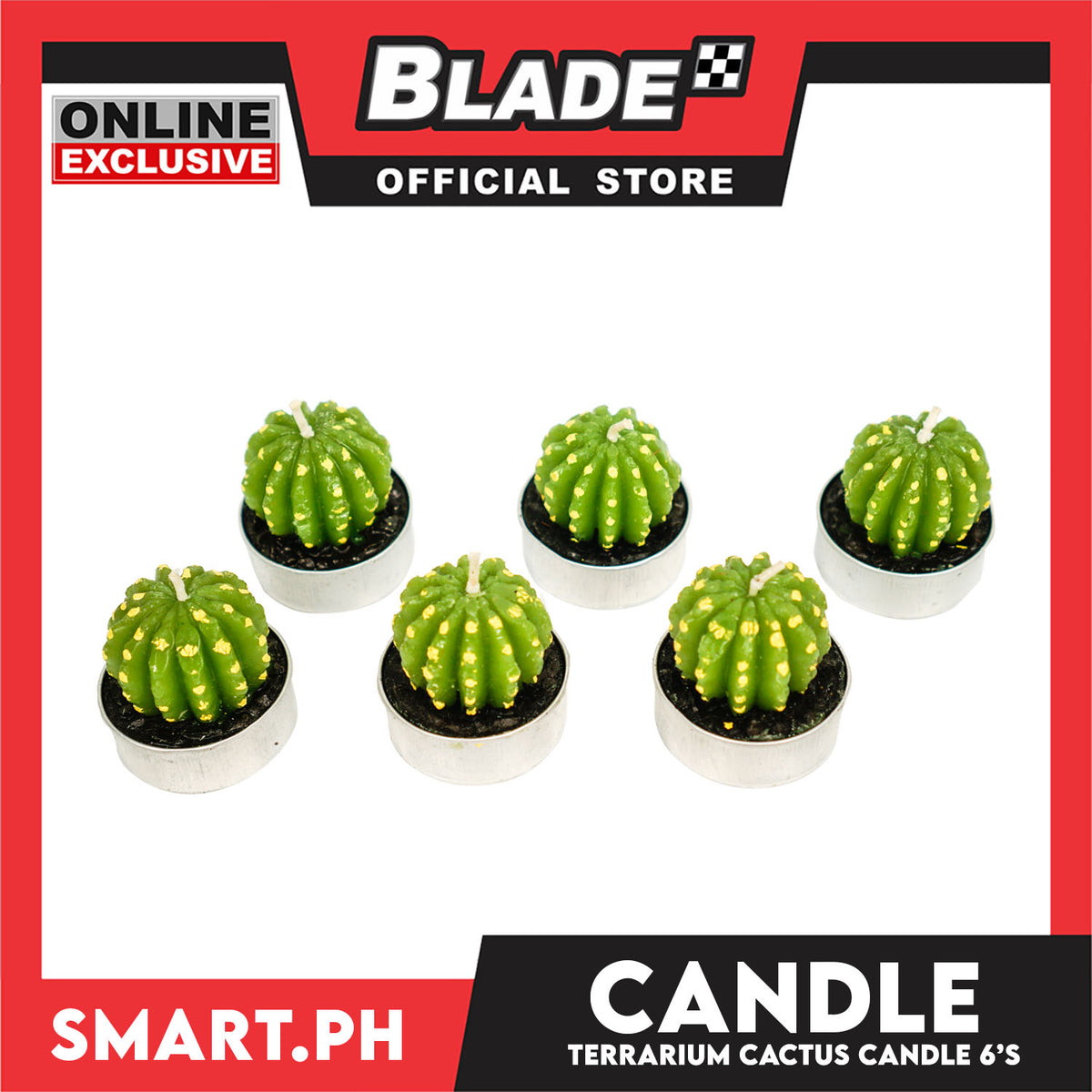 Gifts Terrarium Cactus Candle 6's