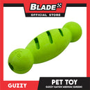 Guzzy Baton Adult Regular Training Toy, Green Color (Medium) Mixing Training, Play And Snack Time Dog Treat, Dog Toy