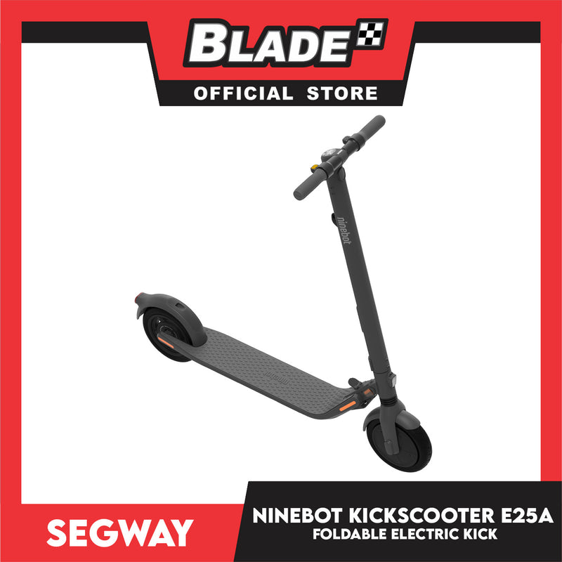 Segway Ninebot E25A Electric Kickscooter, Foldable Scooter And Electric Kick