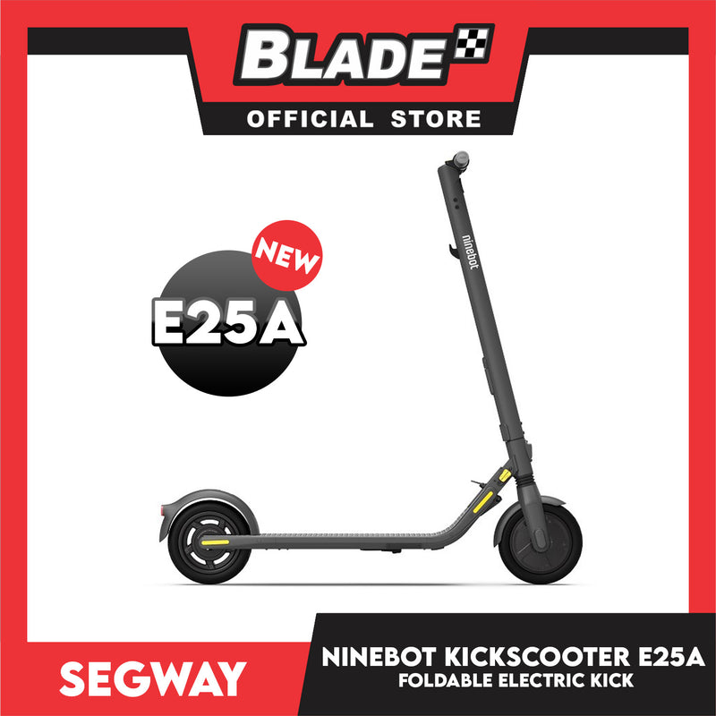 Segway Ninebot E25A Electric Kickscooter, Foldable Scooter And Electric Kick