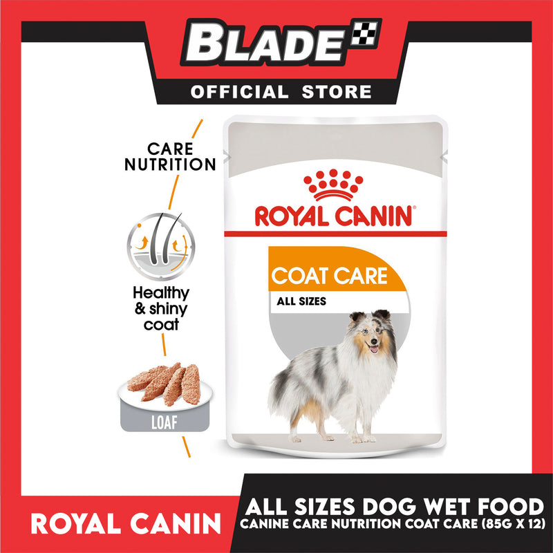 Royal Canin Coat Care Loaf (85g x 12) Adult Wet Dog Food - Canine Care Nutrition