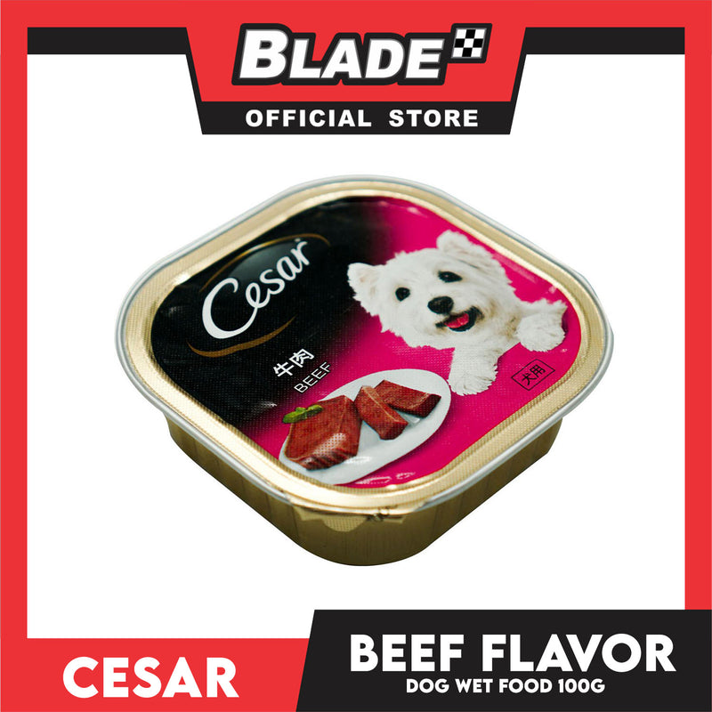 Cesar Beef Flavor 100g Dog Wet Food – - Main Image